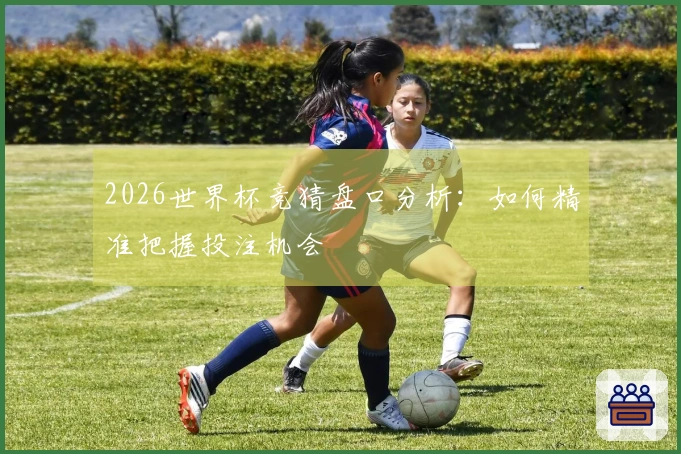 2026世界杯竞猜盘口分析：如何精准把握投注机会