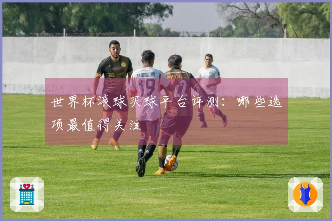 世界杯滚球买球平台评测：哪些选项最值得关注