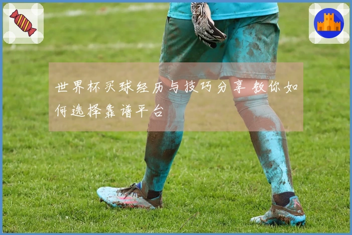 世界杯买球经历与技巧分享 教你如何选择靠谱平台