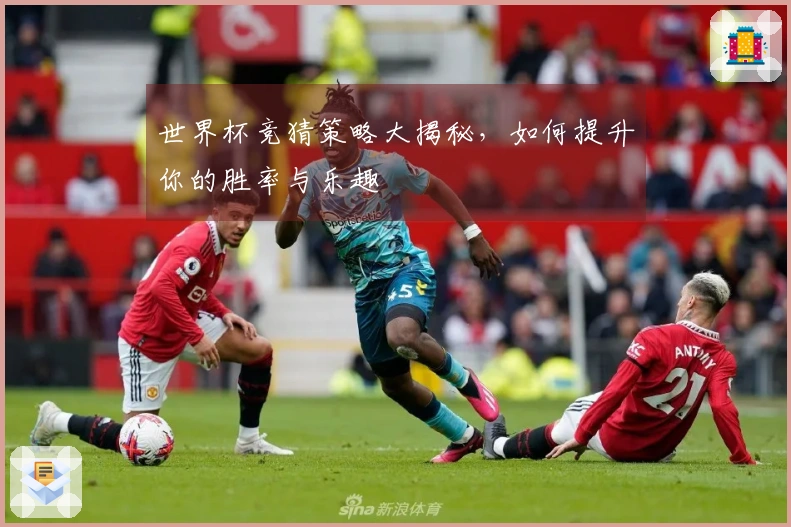 世界杯竞猜策略大揭秘，如何提升你的胜率与乐趣