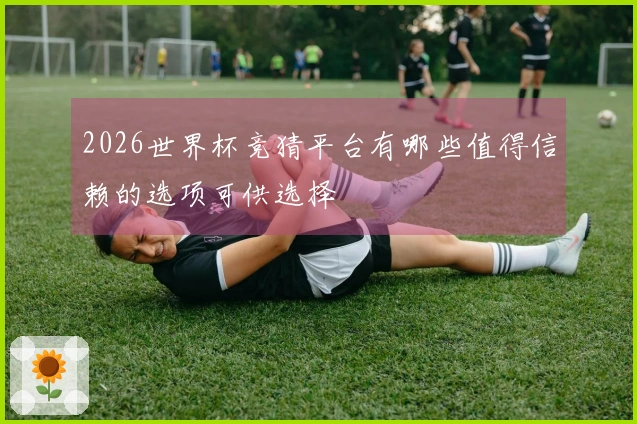 2026世界杯竞猜平台有哪些值得信赖的选项可供选择
