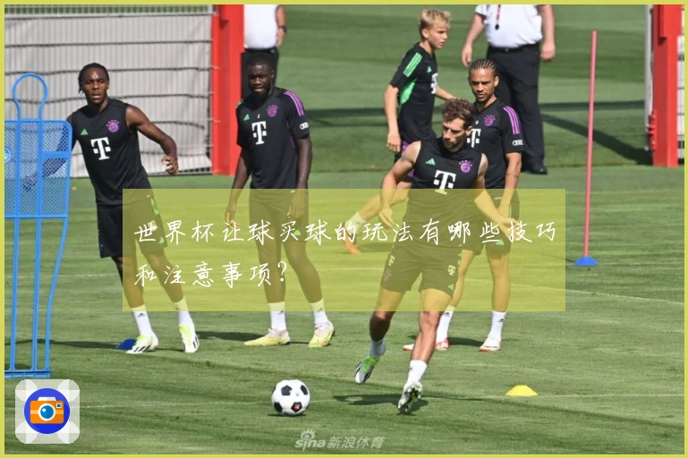 世界杯让球买球的玩法有哪些技巧和注意事项？